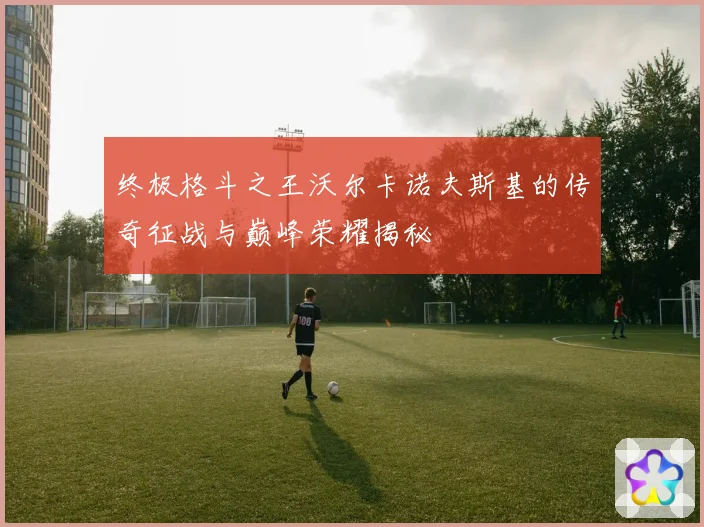 终极格斗之王沃尔卡诺夫斯基的传奇征战与巅峰荣耀揭秘